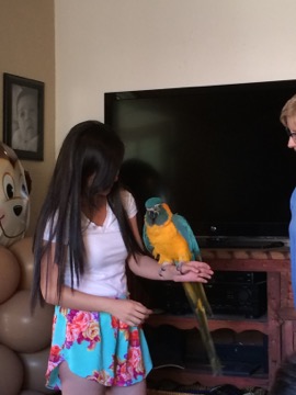 Kids love our birds