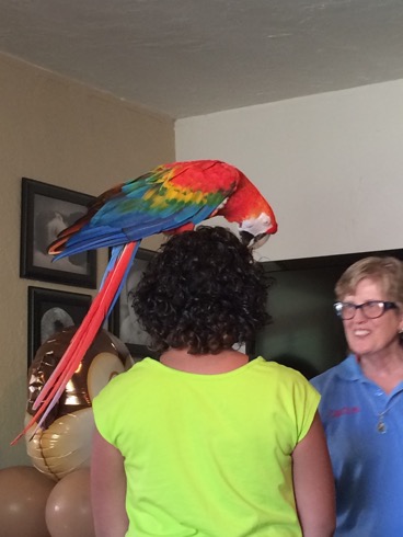 People love our birds